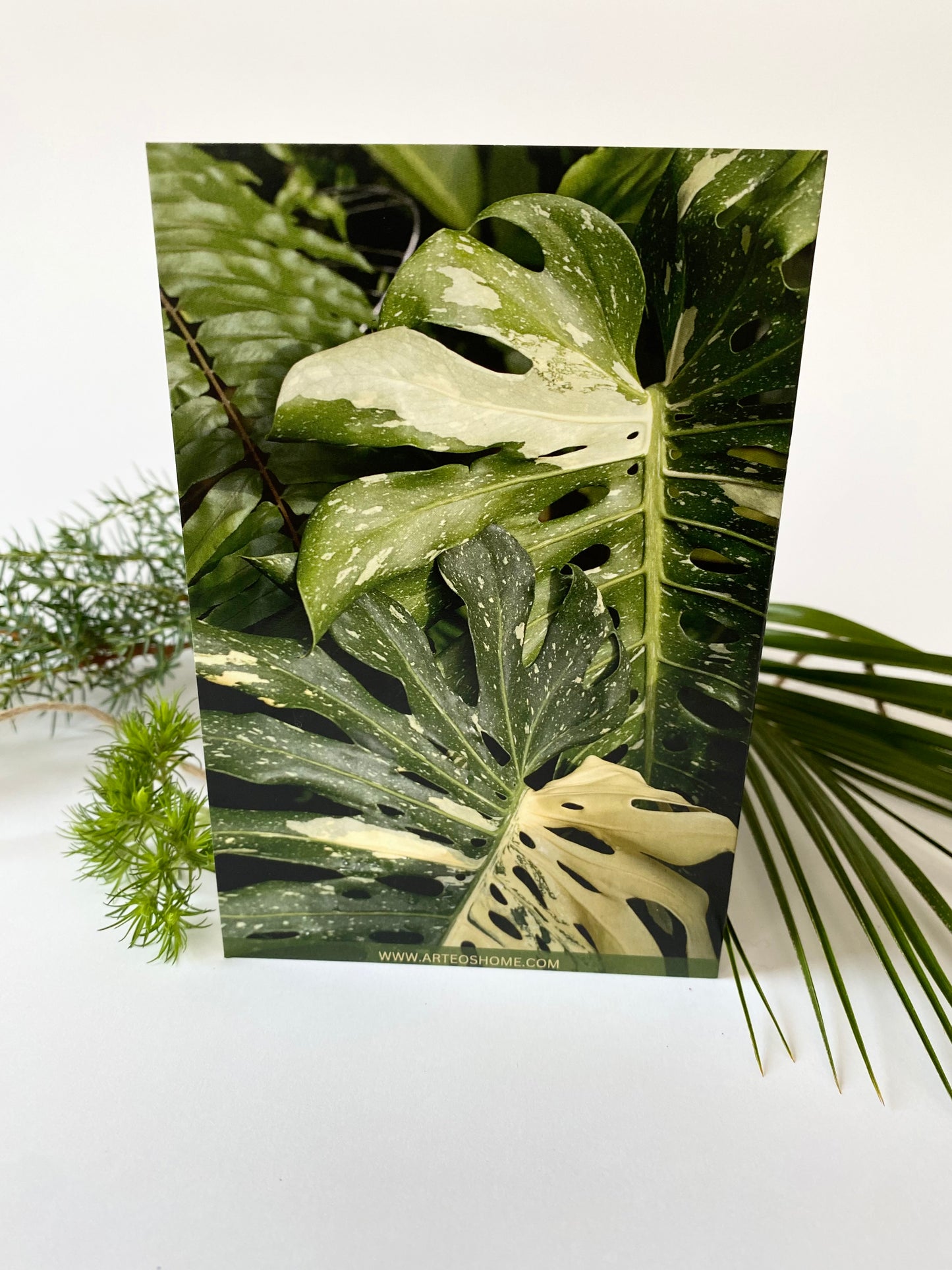 Apsveikuma kartīte - Monstera