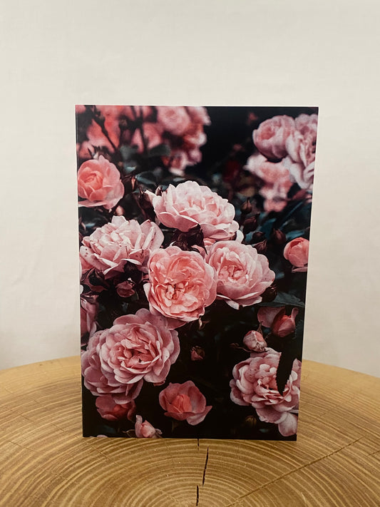 Apsveikuma kartīte - Rozes