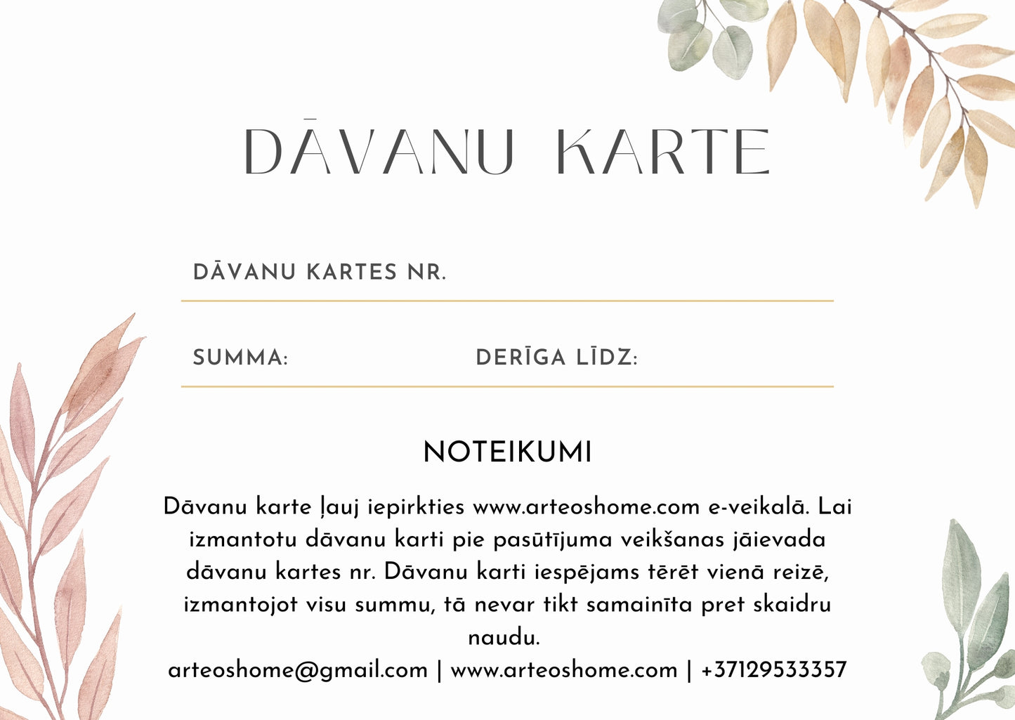 Dāvanu karte 100 eiro vērtībā